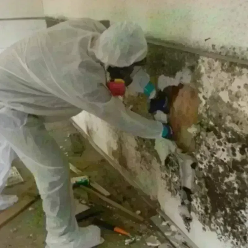 Mold Remediation and Removal in Upper Marlboro, MD