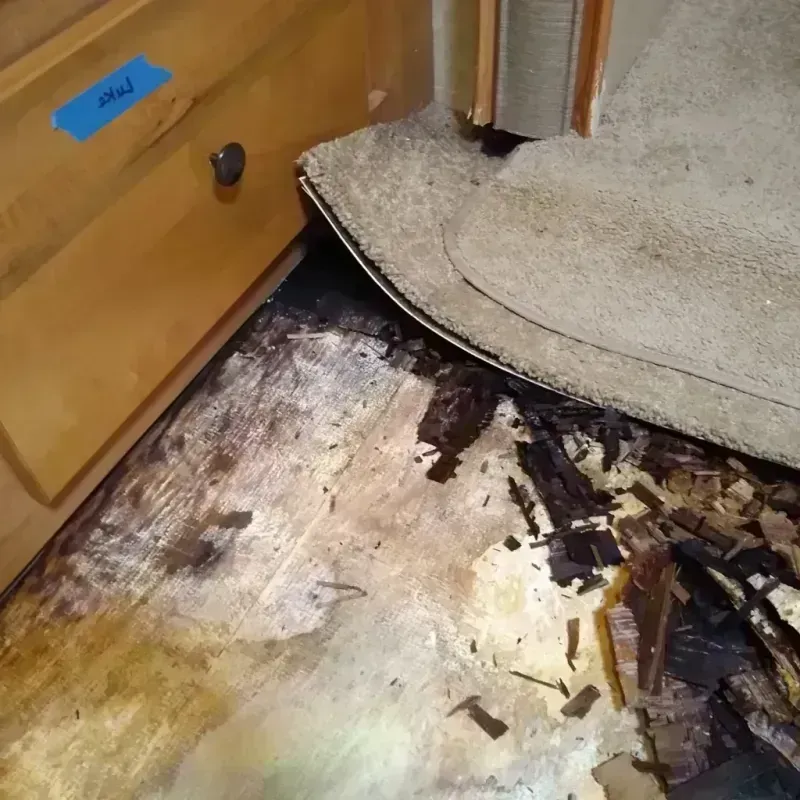 Best Wood Floor Water Damage Service in Upper Marlboro, MD